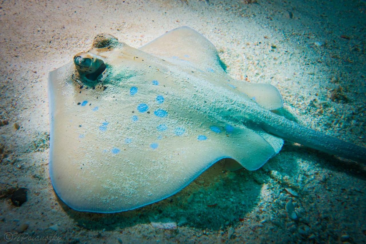 Forra Dive Resort Pattaya Beach Koh Lipe Luaran gambar