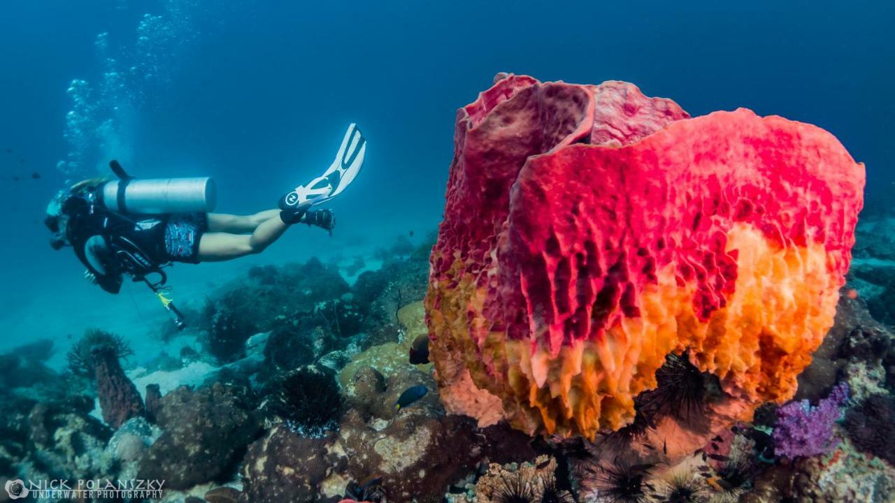Forra Dive Resort Pattaya Beach Koh Lipe Luaran gambar